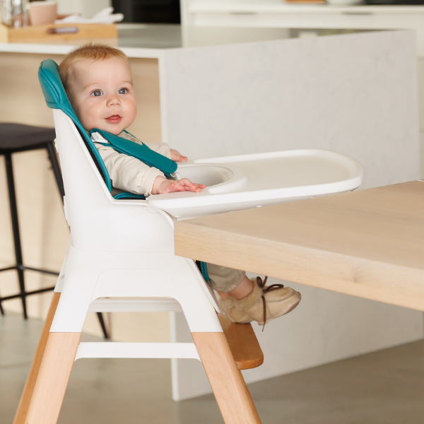 The MOOSE TED Highchair & Stool