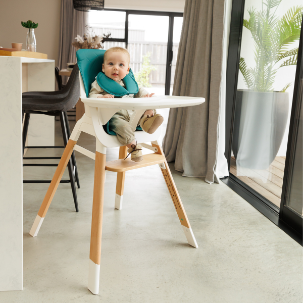 The MOOSE TED Highchair & Stool