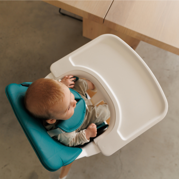 The MOOSE TED Highchair & Stool